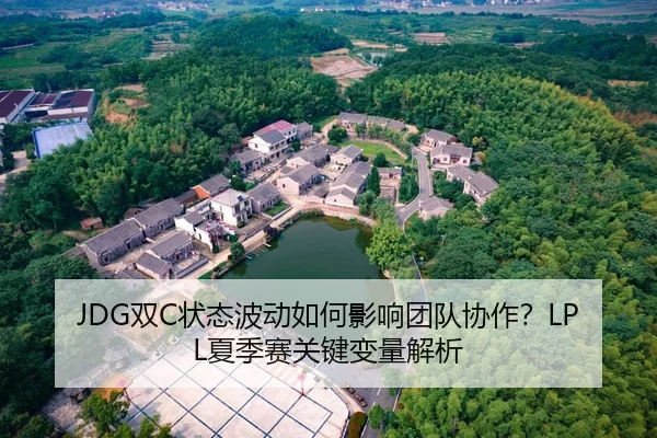 JDG双C状态波动如何影响团队协作？LPL夏季赛关键变量解析