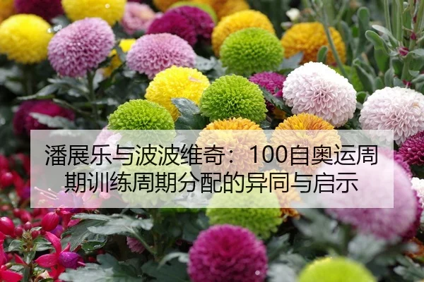 pan-zhan-le-yu-bo-bo-wei-qi-zi-ao-yun-zhou-qi-xun-lian-zhou-qi-fen-pei-de-yi-tong-yu-qi-shi-2-615.jpg