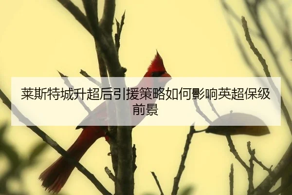 lai-si-te-cheng-sheng-chao-hou-yin-yuan-ce-lve-ru-he-ying-xiang-ying-chao-bao-ji-qian-jing-2-258.jpg
