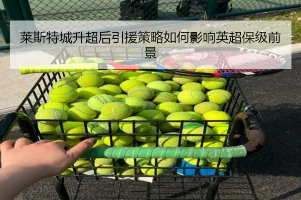 莱斯特城升超后引援策略如何影响英超保级前景