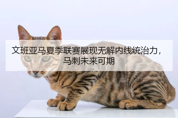 文班亚马夏季联赛展现无解内线统治力，马刺未来可期