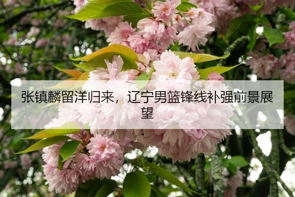 zhang-zhen-lin-liu-yang-gui-lai-liao-ning-nan-lan-feng-xian-bu-qiang-qian-jing-zhan-wang-3-953.jpg