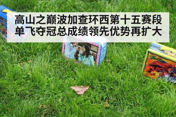 高山之巅波加查环西第十五赛段单飞夺冠总成绩领先优势再扩大