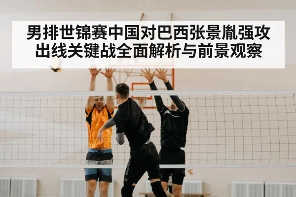 volleyball net block